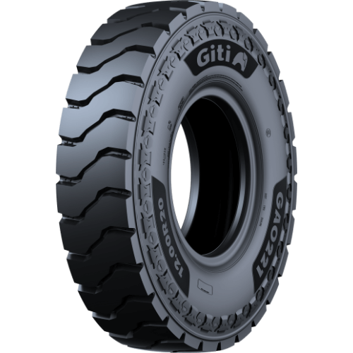 GAO221(H)